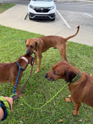 image5.jpeg image5.jpeg