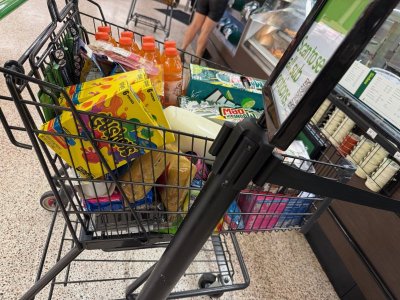 image7.jpeg image7.jpeg