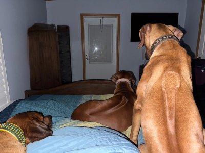 image8.jpeg image8.jpeg