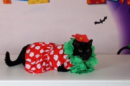 6R0A7217 edited in PSE.jpeg