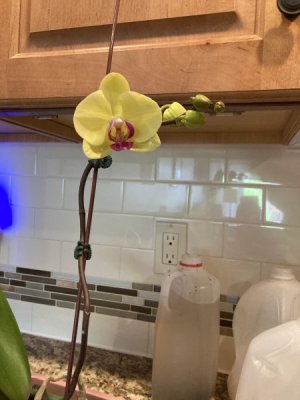 IMG_4571.jpeg IMG_4571.jpeg