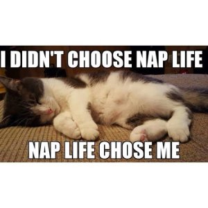 IMG_0590.jpeg IMG_0590.jpeg