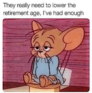 IMG_0591.jpeg IMG_0591.jpeg