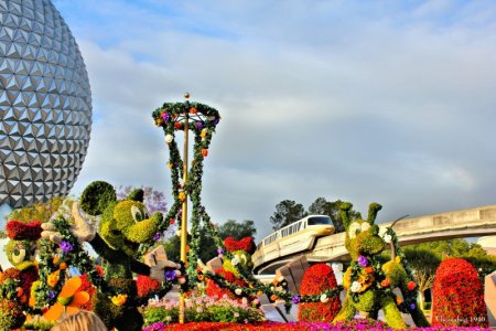 1761870771918.jpeg 1761870771918.jpeg