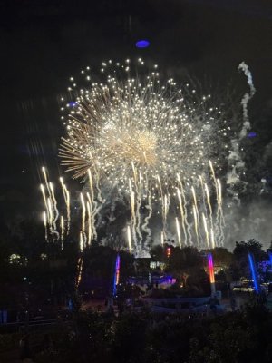 IMG_6060.jpeg IMG_6060.jpeg