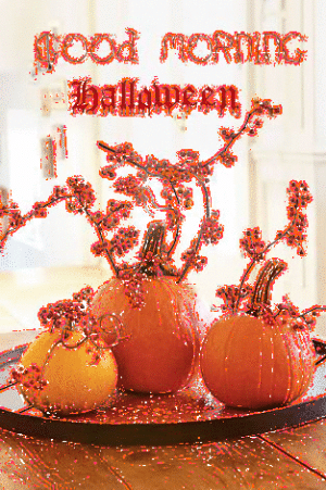 IMG_6806.gif IMG_6806.gif