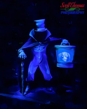 STP_20251017_005.jpg STP_20251017_005.jpg