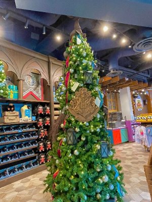 IMG_7136.jpeg IMG_7136.jpeg