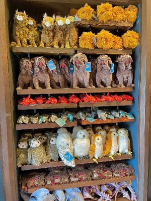 IMG_7137.jpeg IMG_7137.jpeg