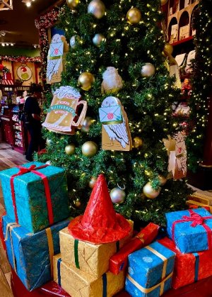 IMG_7138.jpeg IMG_7138.jpeg