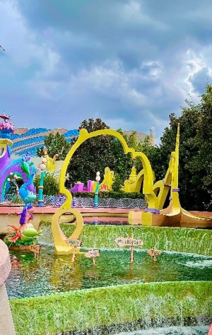 IMG_7146.jpeg IMG_7146.jpeg