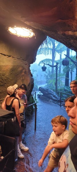 20251027_173046.jpg 20251027_173046.jpg