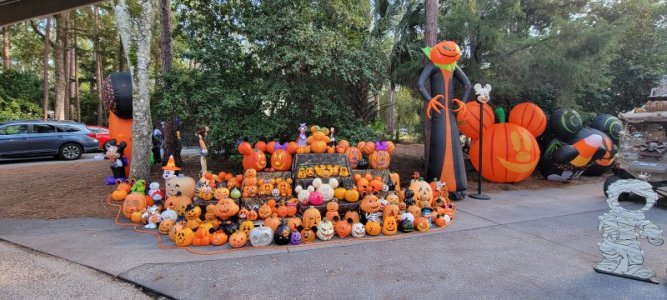 20251029_164417.jpg 20251029_164417.jpg