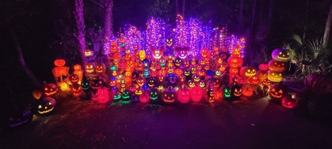 20251026_213719.jpg 20251026_213719.jpg