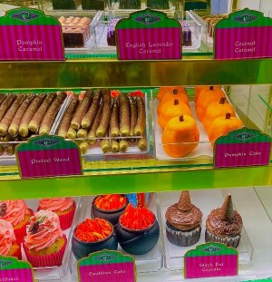 IMG_7160.jpeg IMG_7160.jpeg