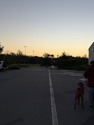 image3.jpeg image3.jpeg