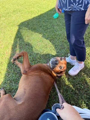 image4.jpeg image4.jpeg