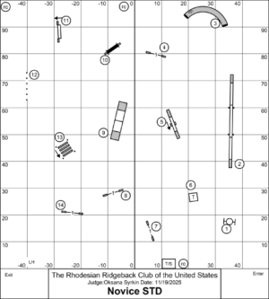 image1.png image1.png