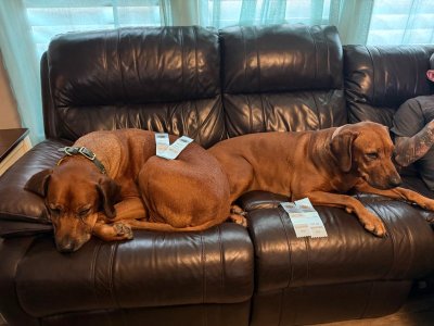 image6.jpeg image6.jpeg