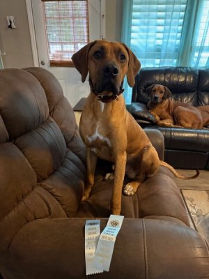 image7.jpeg image7.jpeg