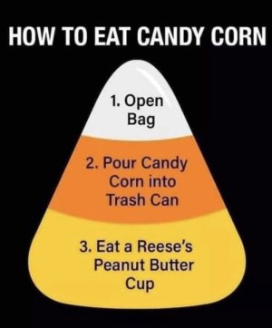 IMG_0294.jpeg IMG_0294.jpeg