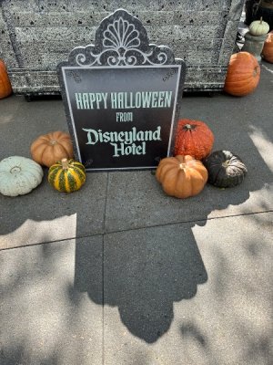 IMG_0652.jpeg IMG_0652.jpeg