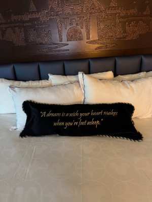 IMG_0565.jpeg IMG_0565.jpeg