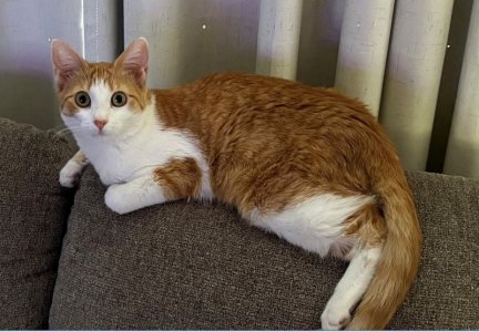 1761949120571.jpeg 1761949120571.jpeg