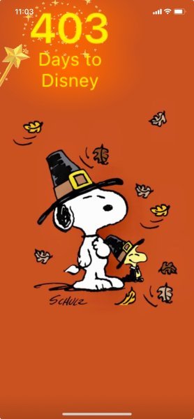 SW THANKSGIVING.jpeg