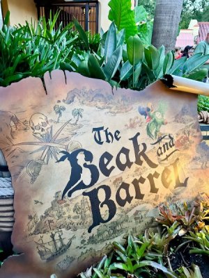 1762024034433.jpeg 1762024034433.jpeg