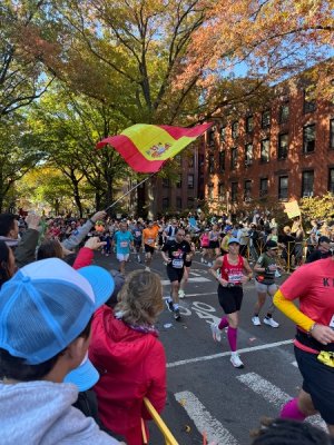 IMG_3919.jpeg IMG_3919.jpeg