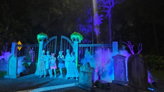 20251026_052143.jpg 20251026_052143.jpg