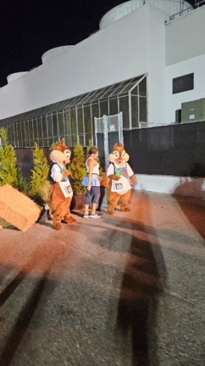 20251026_053630.jpg 20251026_053630.jpg