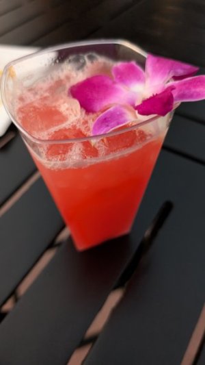 PXL_20250921_233750024.jpg PXL_20250921_233750024.jpg