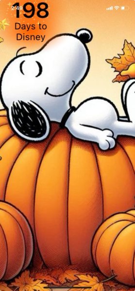 SNOOPY PUMPKIN NAP.jpeg