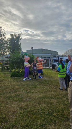 20251026_084234.jpg 20251026_084234.jpg