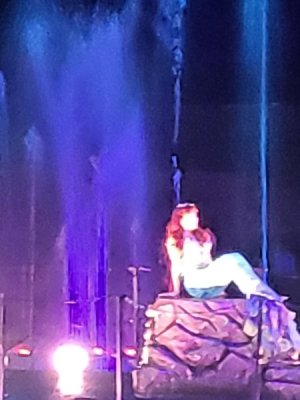 Fantasmic Ariel 2.jpg