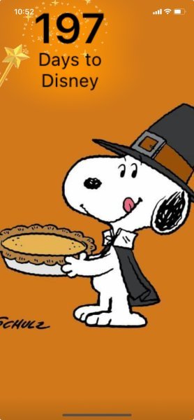 SNOOPY PUMPKIN PIE.jpeg