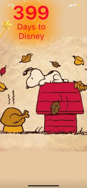 SNOOPY TURKEY TIME.jpeg