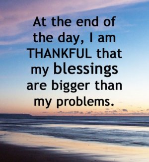 IMG_2242.jpeg IMG_2242.jpeg