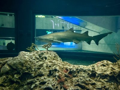 IMG_4958.jpeg IMG_4958.jpeg