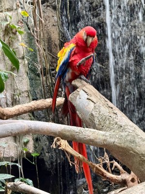 IMG_4951.jpeg IMG_4951.jpeg