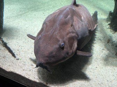 IMG_4910.jpeg IMG_4910.jpeg