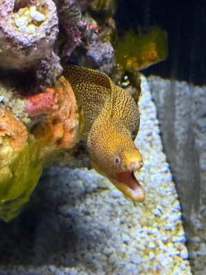 IMG_4867.jpeg IMG_4867.jpeg