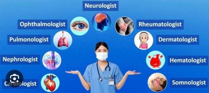 IMG_2696.jpeg IMG_2696.jpeg