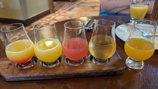 PXL_20250608_112159392.MP.jpg PXL_20250608_112159392.MP.jpg