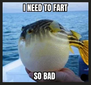 i-need-a-fart-v0-ob05a94lhszf1.webp