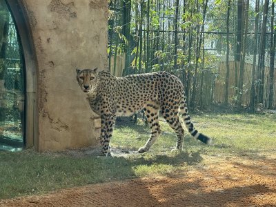 1762563578801.jpeg 1762563578801.jpeg