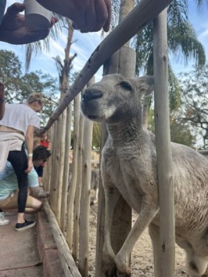 1762564294090.jpeg 1762564294090.jpeg