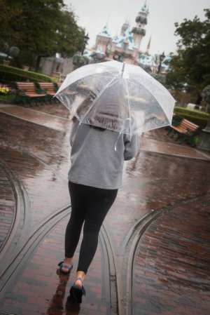 IMG_4015.jpg IMG_4015.jpg